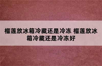 榴莲放冰箱冷藏还是冷冻 榴莲放冰箱冷藏还是冷冻好